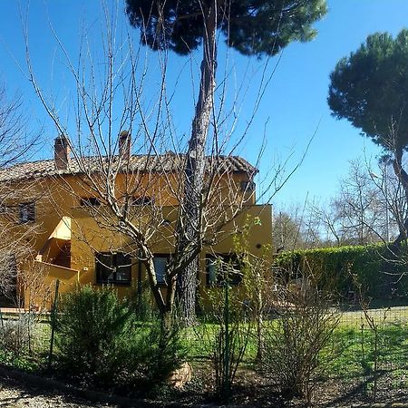 Agriturismo La Cella Villa Arezzo Exterior photo